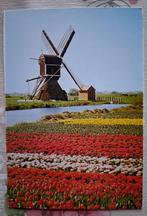 Postkaart Molen, Ophalen of Verzenden