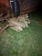 Stammen brandhout, Enlèvement, Autres essences de bois, Troncs d'arbres