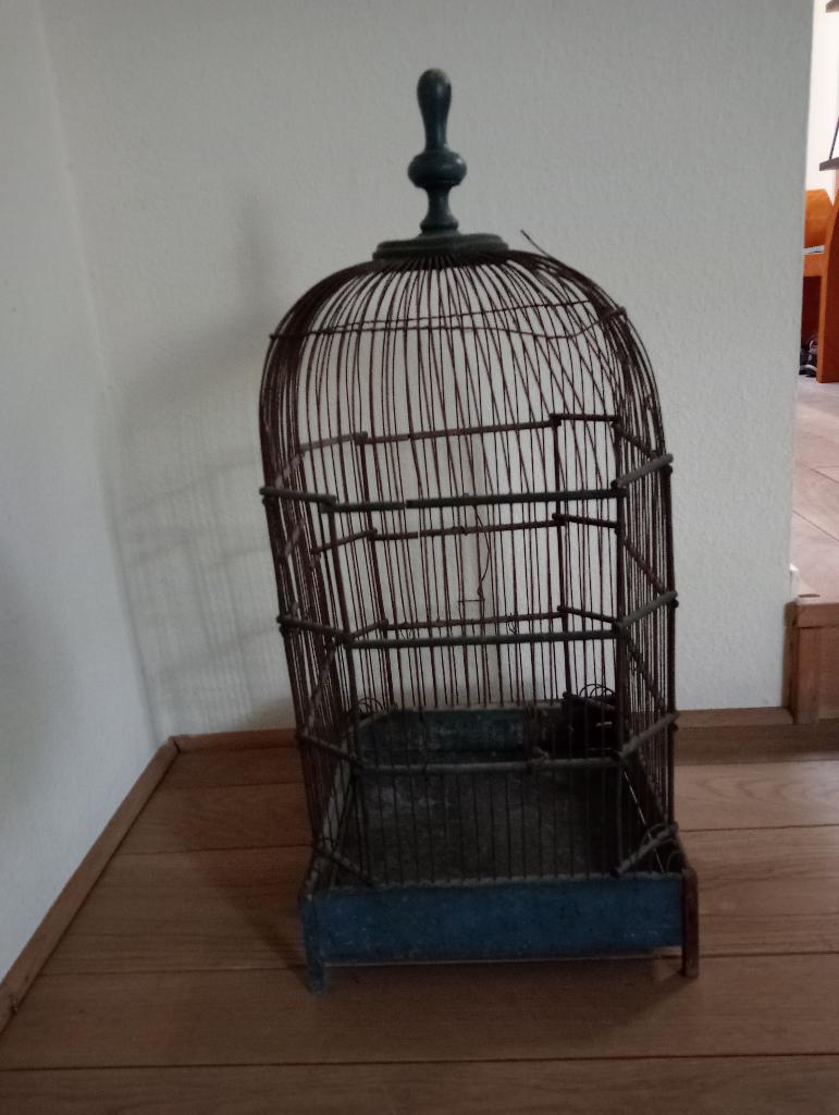 Decoratieve oude vogelkooien, Enlèvement