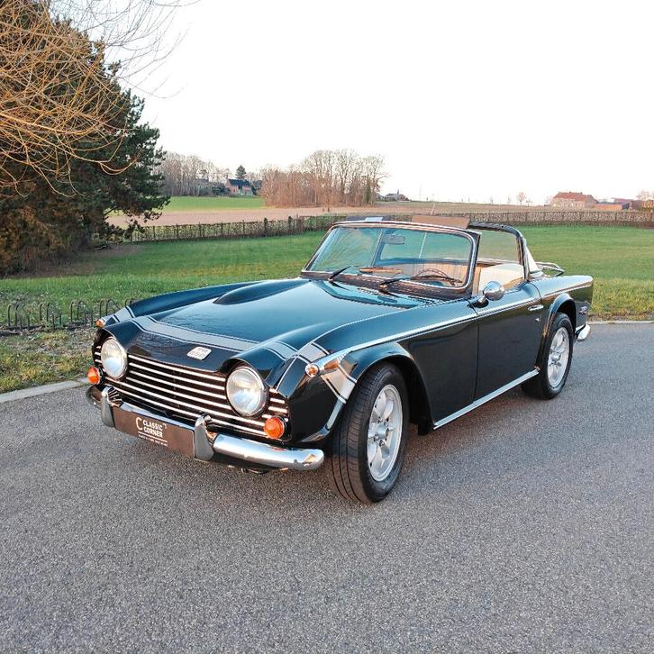 Triumph TR250, Autos, Triumph, Entreprise, Achat, Autres modèles, Essence, Cabriolet, 2 portes, Boîte manuelle, Vert, Noir, Cuir synthéthique