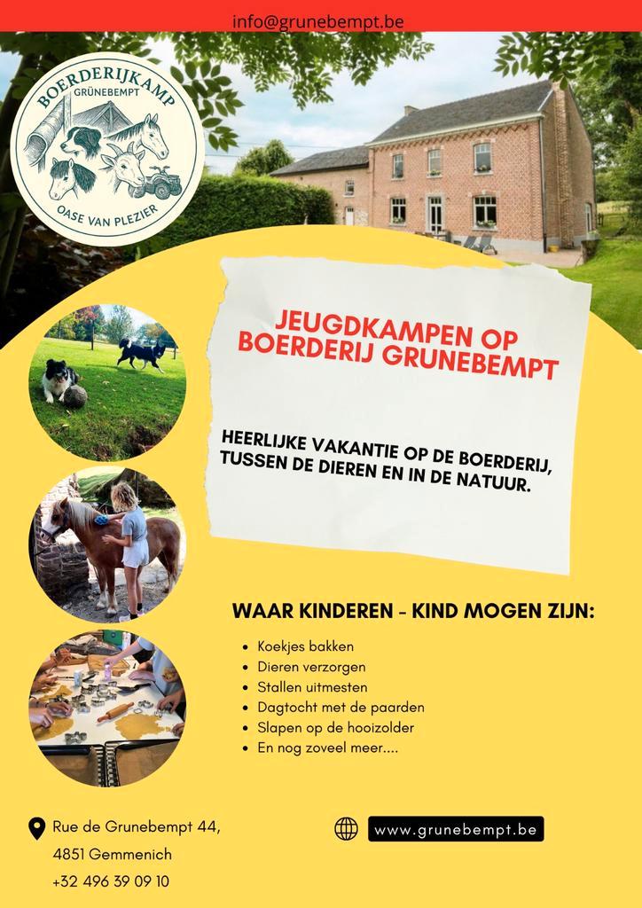 Kinderen kampen grote vakantie boerderij, Services & Professionnels, Services Autre