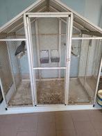 Voilere, Dieren en Toebehoren, Ophalen