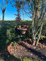 Porte-plantes/table, Enlèvement