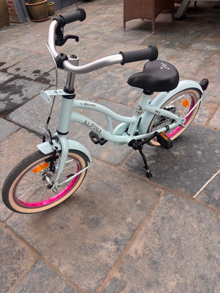 Alpina Ocean Glace Lichtgroen 16 inch, Ophalen, Zo goed als nieuw