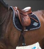 Bruno Delgrange Doublée (kalfsleer) springzadel, Animaux & Accessoires, Enlèvement, Utilisé, Obstacle