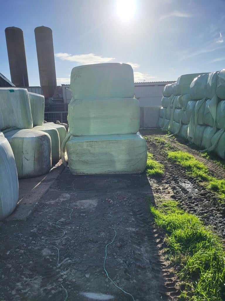 Voordroog hooi paarden schapen, Enlèvement