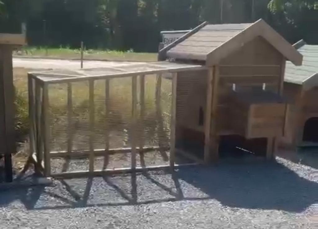 Clapier GRATUIT pour poules et lapins avec enclos - GRAND, Animaux & Accessoires, Niche, Enlèvement, Utilisé, 110 cm ou plus