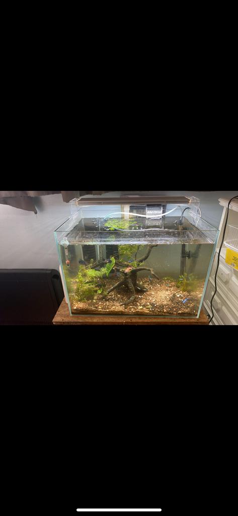 superfish scaper 60, Ophalen, Verwarming, Zo goed als nieuw, Superfish