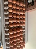 Broedeieren, Ophalen