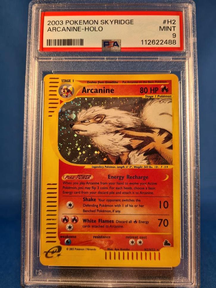 Arcanine H2/144 - Skyridge (PSA 9), Hobby & Loisirs créatifs, Jeux de cartes à collectionner | Pokémon, Utilisé, Envoi