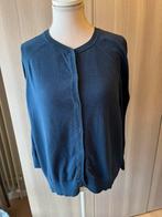 Gilet fin bleu foncé signé Ameline by Mayerline, Vêtements | Femmes, Blouses & Tuniques, Enlèvement ou Envoi, Taille 42/44 (L)