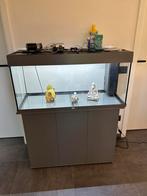 Aquarium juwel rio 180l, Enlèvement, Utilisé, Aquarium vide, Juwel