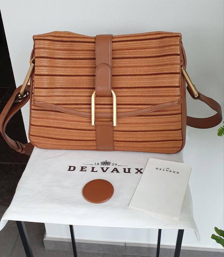 DELVAUX - Givry MM - toilette en cuir, Bijoux, Sacs & Beauté, Sacs | Sacs Femme, Enlèvement