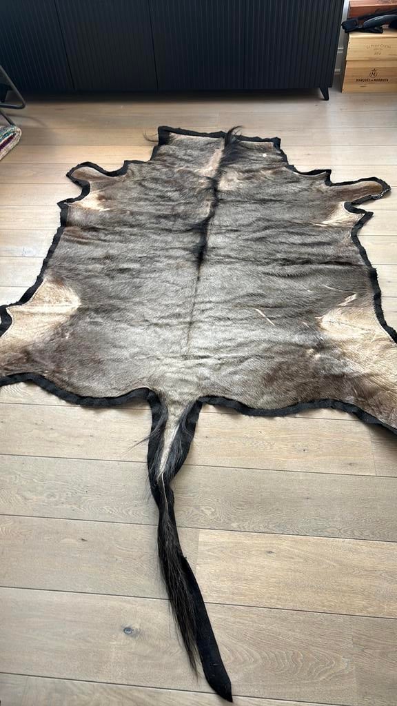 Wildebeest (Gnoe) huid 200cm x 160cm, Afrikaans, Ophalen, Gebruikt, Decoratieobject