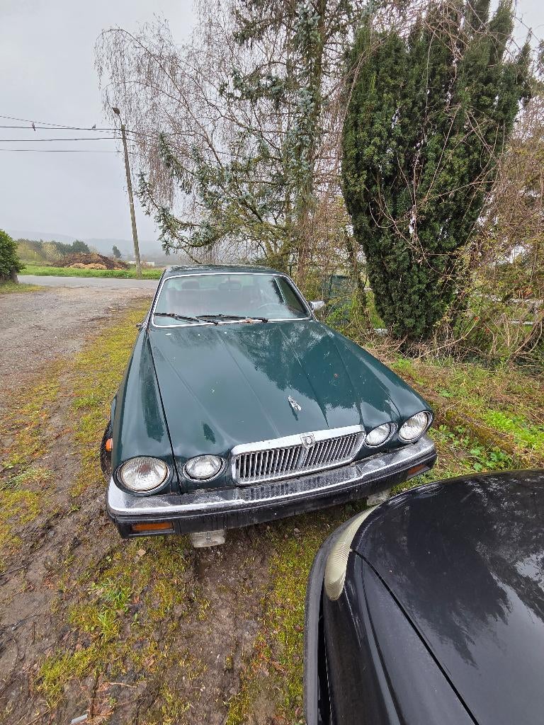 Jaguar, Auto's, Automaat, XJ, 5 zetels, 5 deurs