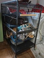 Fretten kooi, Enlèvement, Cage