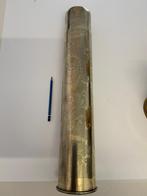 Grand coquillage en forme de tranchée, Collections, Enlèvement