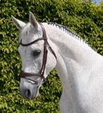 LJ hoofdstel maat Full – topstaat., Ophalen of Verzenden, Zo goed als nieuw, Springen