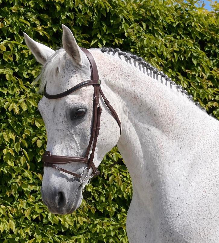 LJ hoofdstel maat Full – topstaat., Dieren en Toebehoren, Paarden en Pony's | Hoofdstellen en Tuigage, Zo goed als nieuw, Springen