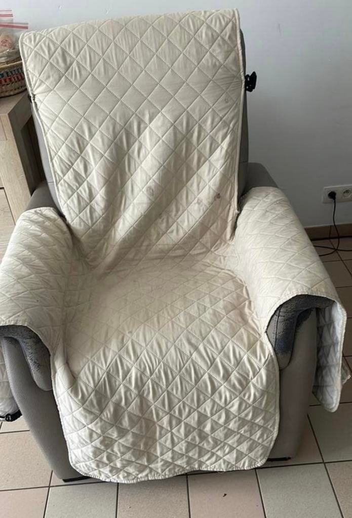 Siège, Maison & Meubles, Fauteuils, Utilisé, Cuir, Enlèvement