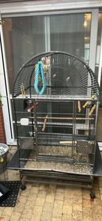 Papegaai kooi, Dieren en Toebehoren, Vogels | Hokken en Kooien, Ophalen, Gebruikt