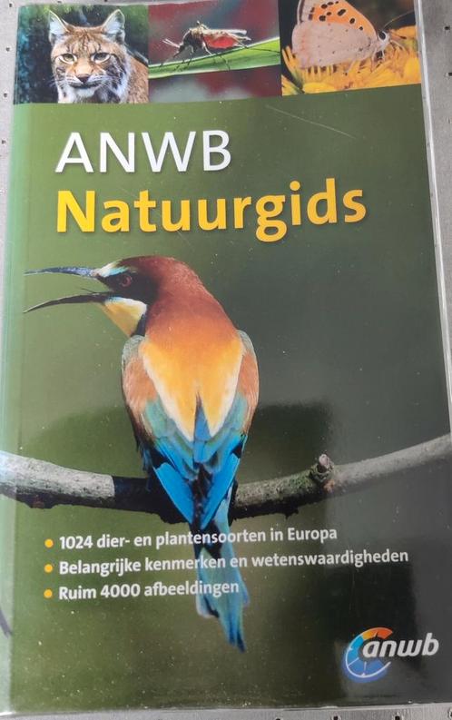 Volker Dierschke - ANWB natuurgids, Livres, Science, Comme neuf, Enlèvement ou Envoi