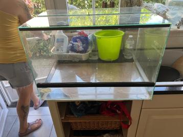 Glazen terrarium 60X40X40 beschikbaar voor biedingen