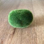 bloemschikdingetje mos, Enlèvement ou Envoi, Comme neuf, Matériel