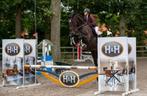 Super toffe merrie met potentie, Dieren en Toebehoren, Paarden, Merrie, Springpaard, 175 cm of meer, Gechipt
