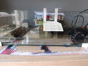 Aquarium set voor beginners  beschikbaar voor biedingen