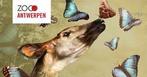 Antwerpen zoo dagtickets 4 x, Tickets en Kaartjes, Drie personen of meer, Ticket of Toegangskaart