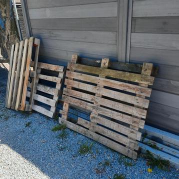Pallets en hout  beschikbaar voor biedingen