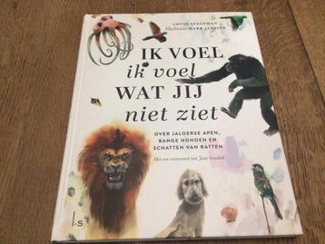 Lotte Stegeman - Ik voel ik voel wat jij niet ziet beschikbaar voor biedingen