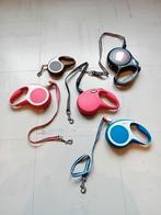 3 lots accessoires neuf pour chiens, l'ensemble:, Ophalen, Zo goed als nieuw