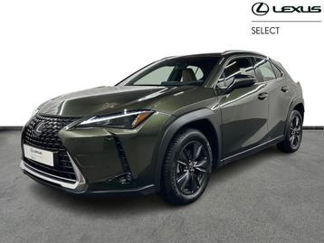 Lexus UX 250h Business Line  beschikbaar voor biedingen