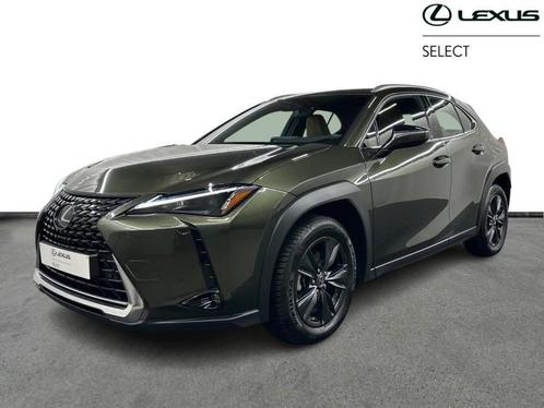 Lexus UX 250h Business Line, Auto's, Lexus, Bedrijf, UX, Adaptive Cruise Control, Airbags, Airconditioning, Bluetooth, Boordcomputer