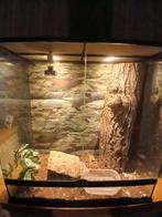 Terrarium te koop, Dieren en Toebehoren, Ophalen, Zo goed als nieuw, Terrarium of Paludarium