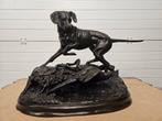 Bronzen jachthond met fazant grote brons prachtige patina!!!, Antiek en Kunst, Ophalen of Verzenden, Brons