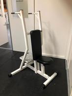 Technogym isotonic military press/dipps, Sport en Fitness, Ophalen, Zo goed als nieuw, Halterschijven