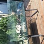 Zeeaquarium sump of stekken bak, Dieren en Toebehoren, Ophalen, Zo goed als nieuw