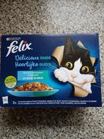 félix, Enlèvement, Chat