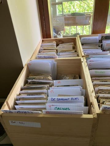 25 000 cartes postales anciennes, Enlèvement, Affranchie