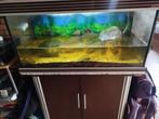 aquarium  meuble, Dieren en Toebehoren, Ophalen, Gebruikt, Overige typen