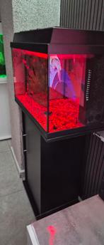 Aquarium met verschillende vissen stuks of 20, Dieren en Toebehoren, Ophalen