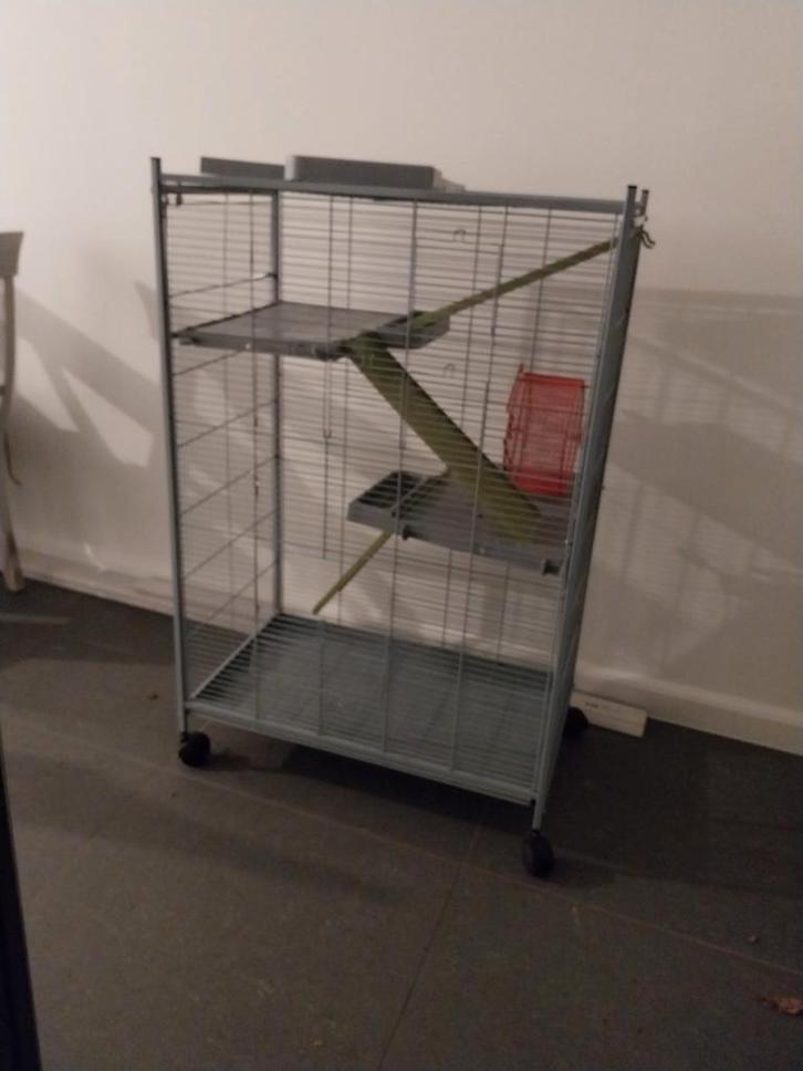 Rattenkooi met wiel en toebehoor, Dieren en Toebehoren, Knaagdieren en Konijnen | Hokken en Kooien, Gebruikt, Kooi, 90 cm of meer