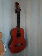 spaanse gitaar, Muziek en Instrumenten, Ophalen