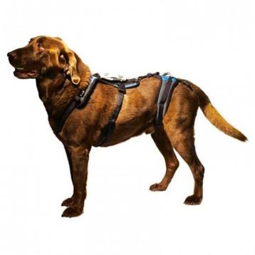 HARNAS EN RIEM VOOR MANNELIJKE HONDEN beschikbaar voor biedingen