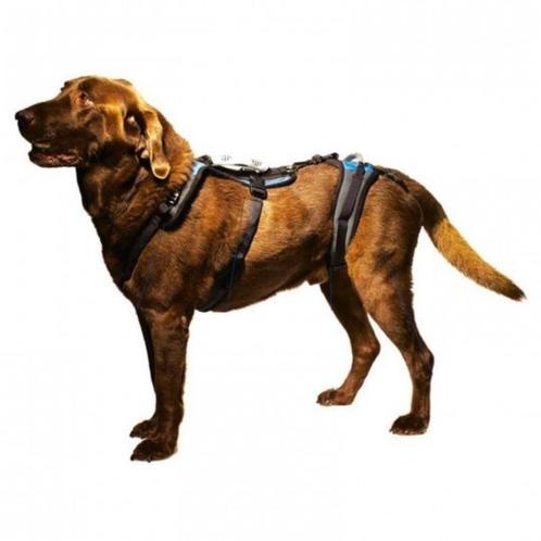 HARNAS EN RIEM VOOR MANNELIJKE HONDEN, Dieren en Toebehoren, Honden-accessoires, Nieuw, Ophalen