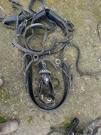 Getuig 3 stuks alles voor 100€, Dieren en Toebehoren