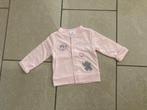 Vestje / golfje voor baby meisje maat 62 (nieuw!), Kinderen en Baby's, Ophalen of Verzenden, Nieuw, Meisje